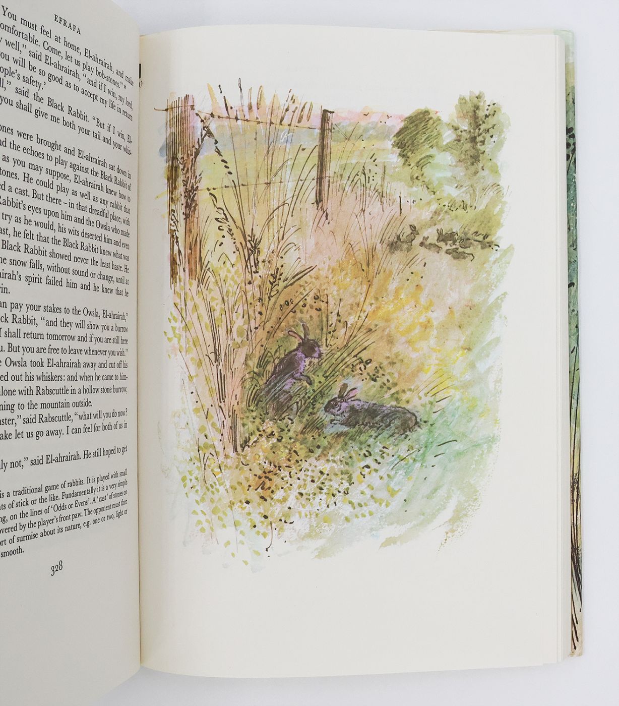 ORIGINAL WATERCOLOUR BY JOHN LAWRENCE ILLUSTRATING WATERSHIP DOWN [with] AN AUTHOR SIGNED, FIRST EDITION OF THE BOOK -  image 9
