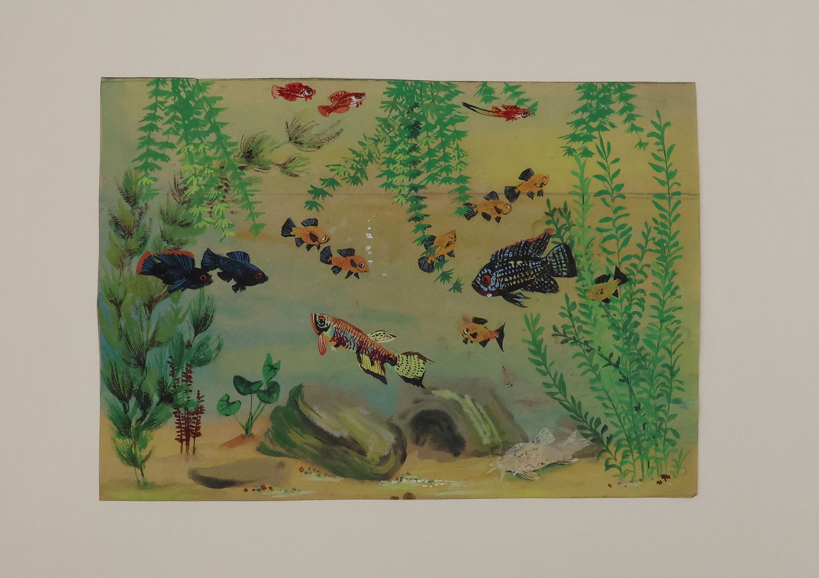 ORIGINAL WATERCOLOUR DESIGNS FOR DUNHILL 'AQUARIUM' BOXES AND HUMIDORS -  image 10