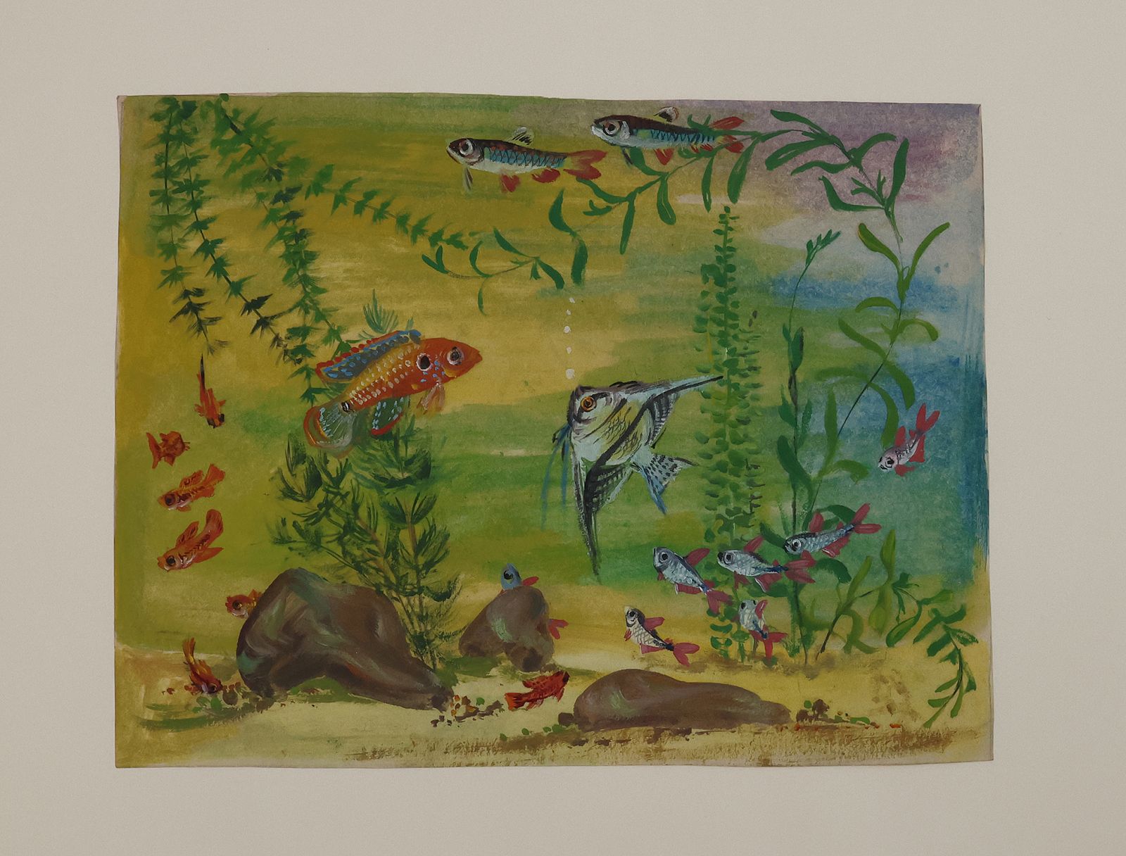 ORIGINAL WATERCOLOUR DESIGNS FOR DUNHILL 'AQUARIUM' BOXES AND HUMIDORS -  image 13