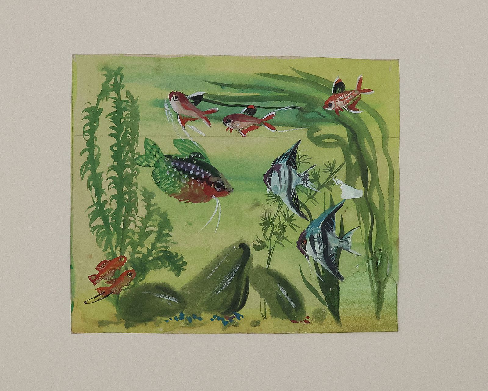 ORIGINAL WATERCOLOUR DESIGNS FOR DUNHILL 'AQUARIUM' BOXES AND HUMIDORS -  image 15