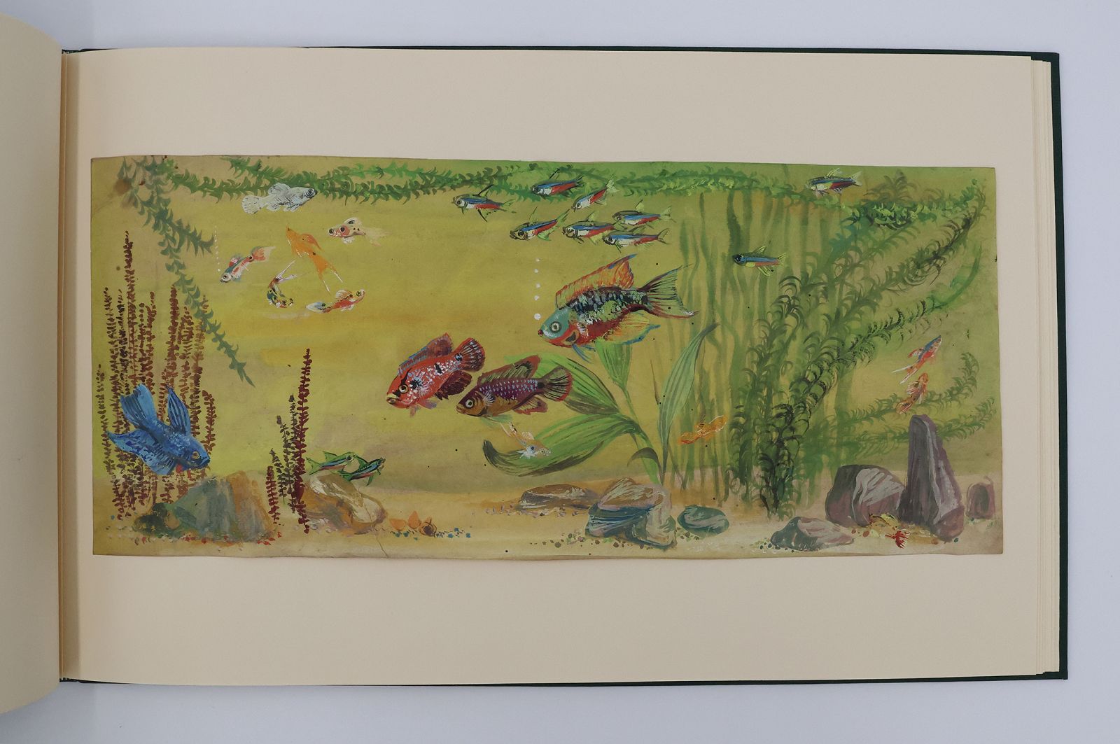 ORIGINAL WATERCOLOUR DESIGNS FOR DUNHILL 'AQUARIUM' BOXES AND HUMIDORS -  image 2