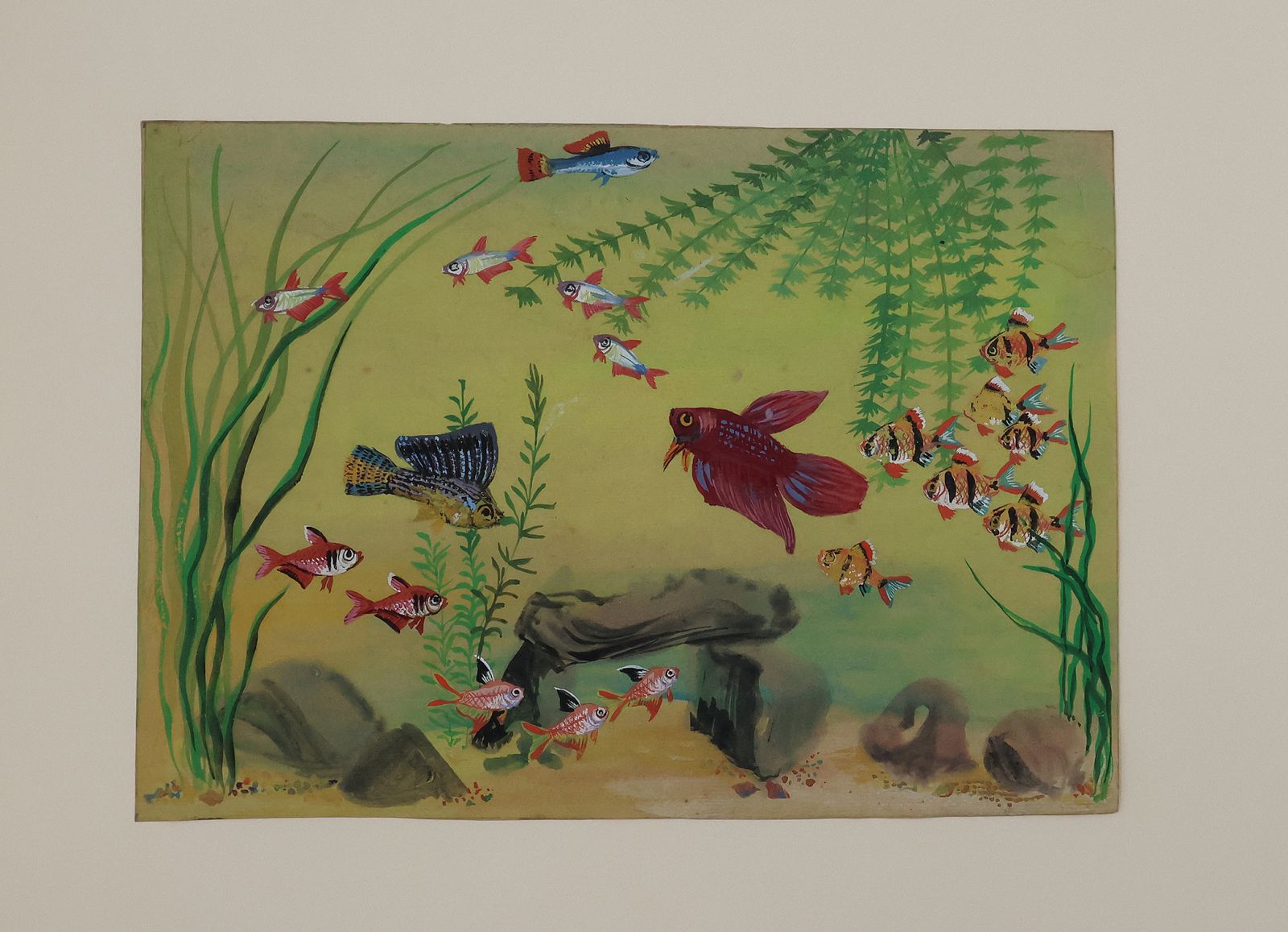 ORIGINAL WATERCOLOUR DESIGNS FOR DUNHILL 'AQUARIUM' BOXES AND HUMIDORS -  image 1