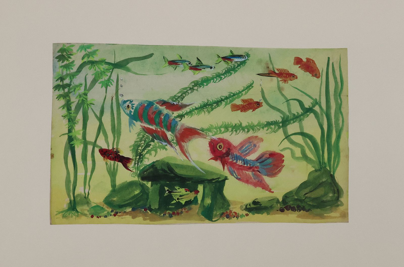 ORIGINAL WATERCOLOUR DESIGNS FOR DUNHILL 'AQUARIUM' BOXES AND HUMIDORS -  image 5