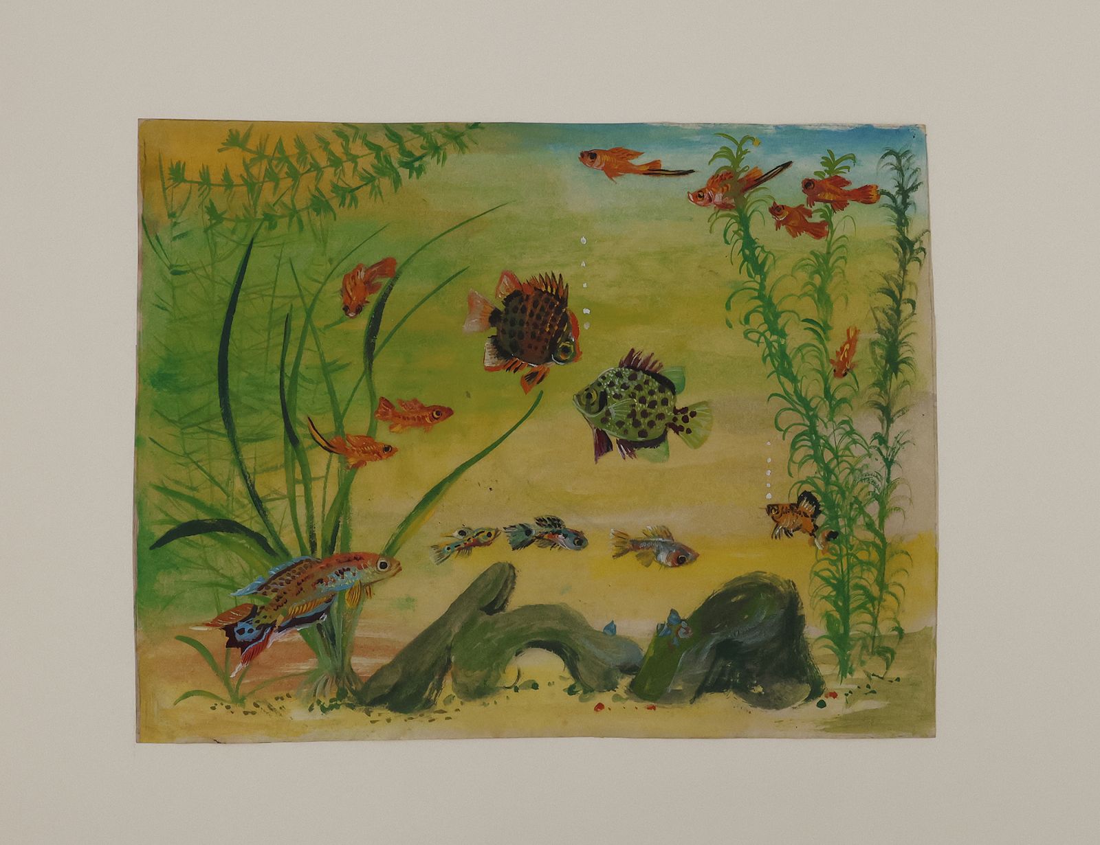 ORIGINAL WATERCOLOUR DESIGNS FOR DUNHILL 'AQUARIUM' BOXES AND HUMIDORS -  image 6