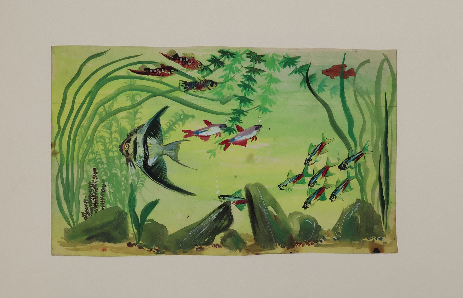 ORIGINAL WATERCOLOUR DESIGNS FOR DUNHILL 'AQUARIUM' BOXES AND HUMIDORS -  image 8