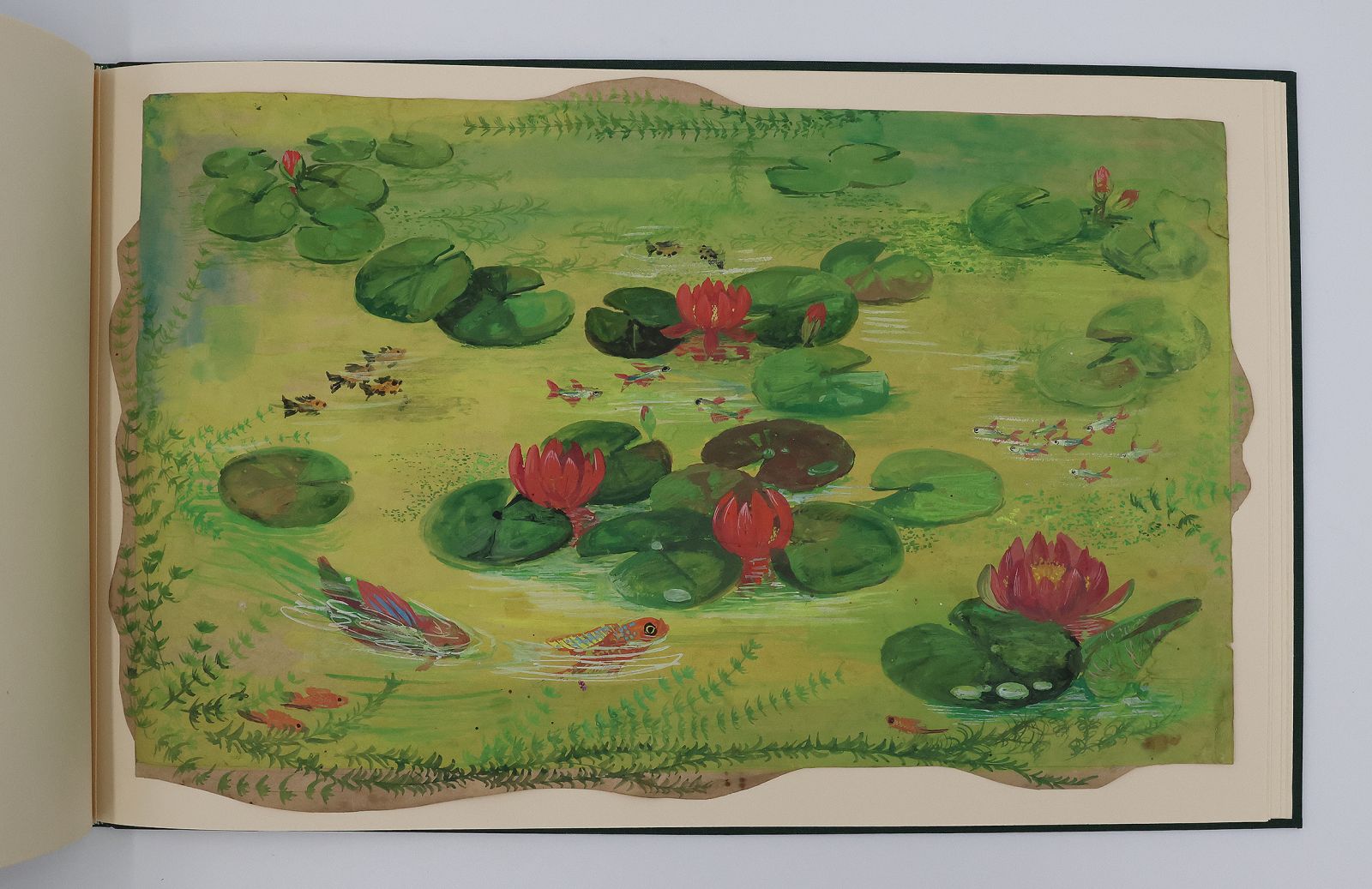 ORIGINAL WATERCOLOUR DESIGNS FOR DUNHILL 'AQUARIUM' BOXES AND HUMIDORS -  image 9