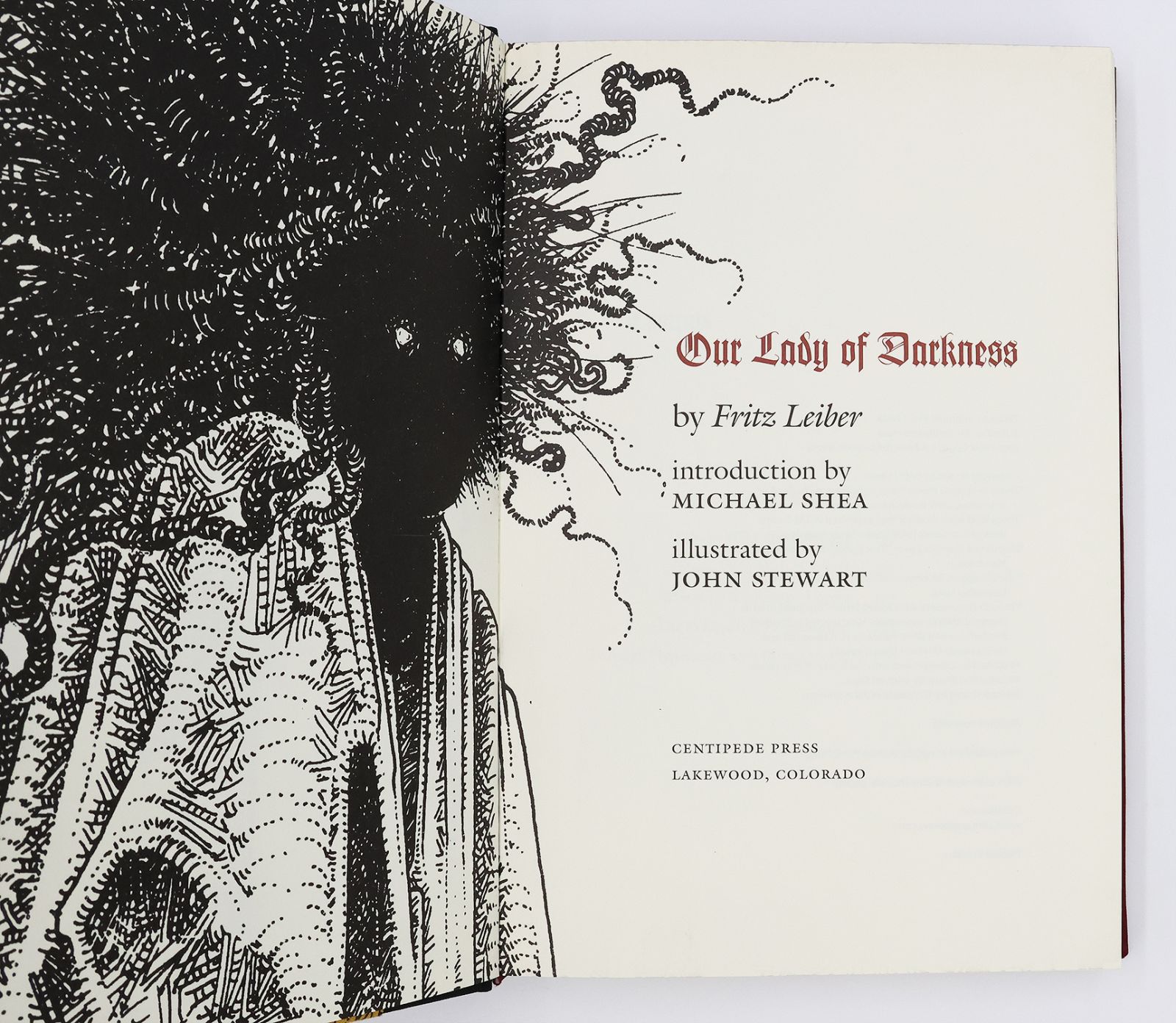 OUR LADY OF DARKNESS -  image 4