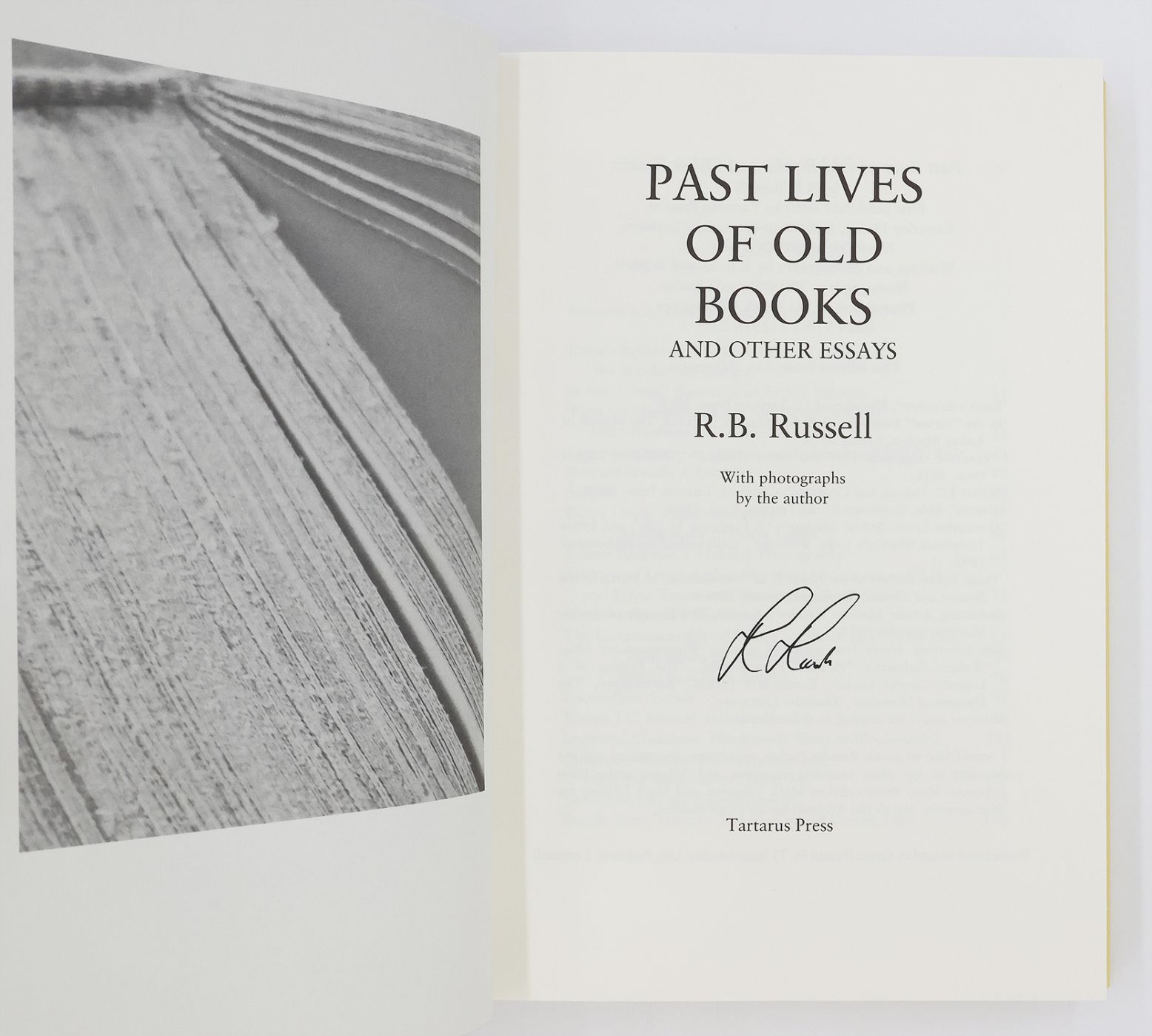 PAST LIVES OF OLD BOOKS -  image 2
