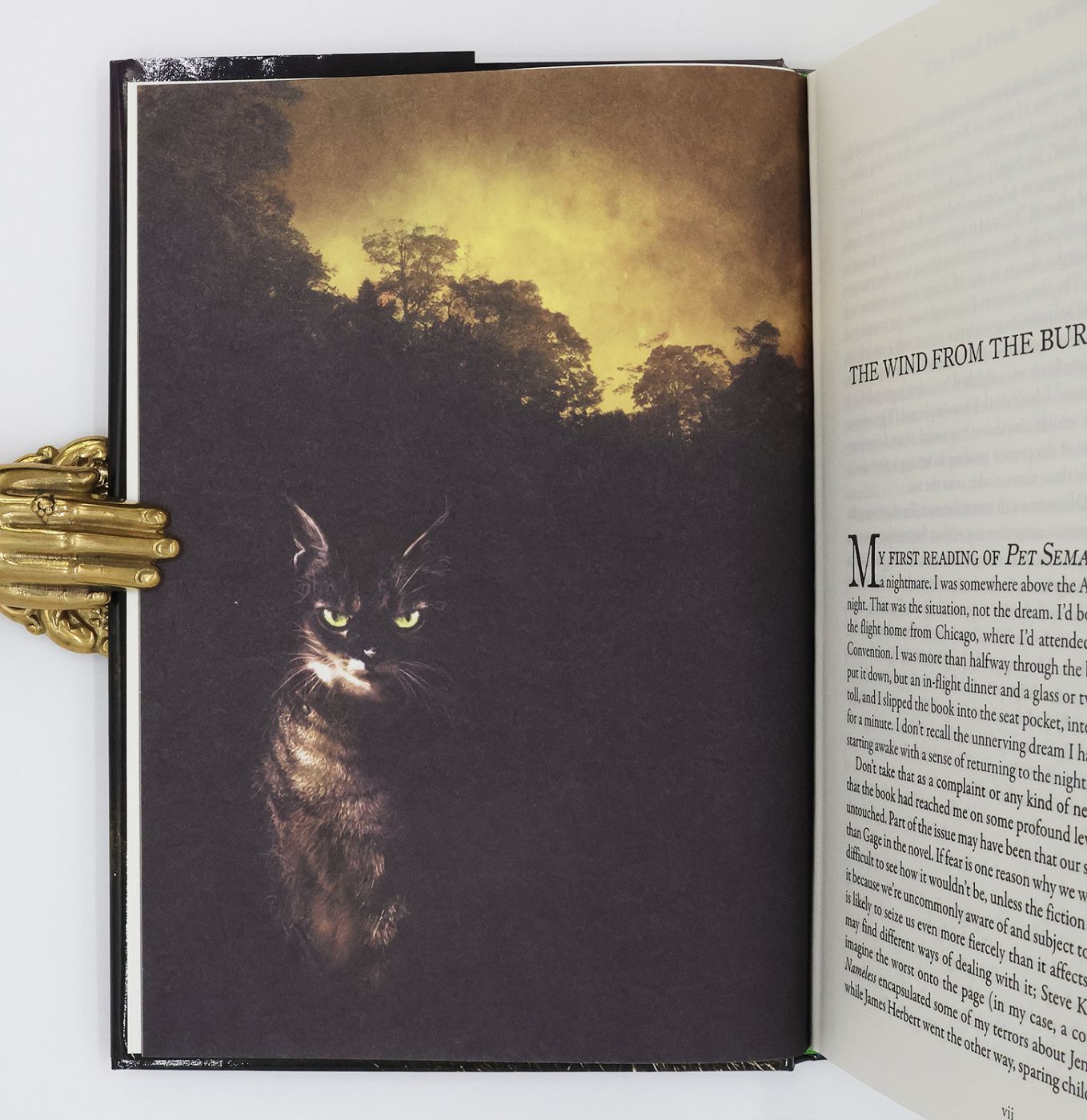 PET SEMATARY -  image 5