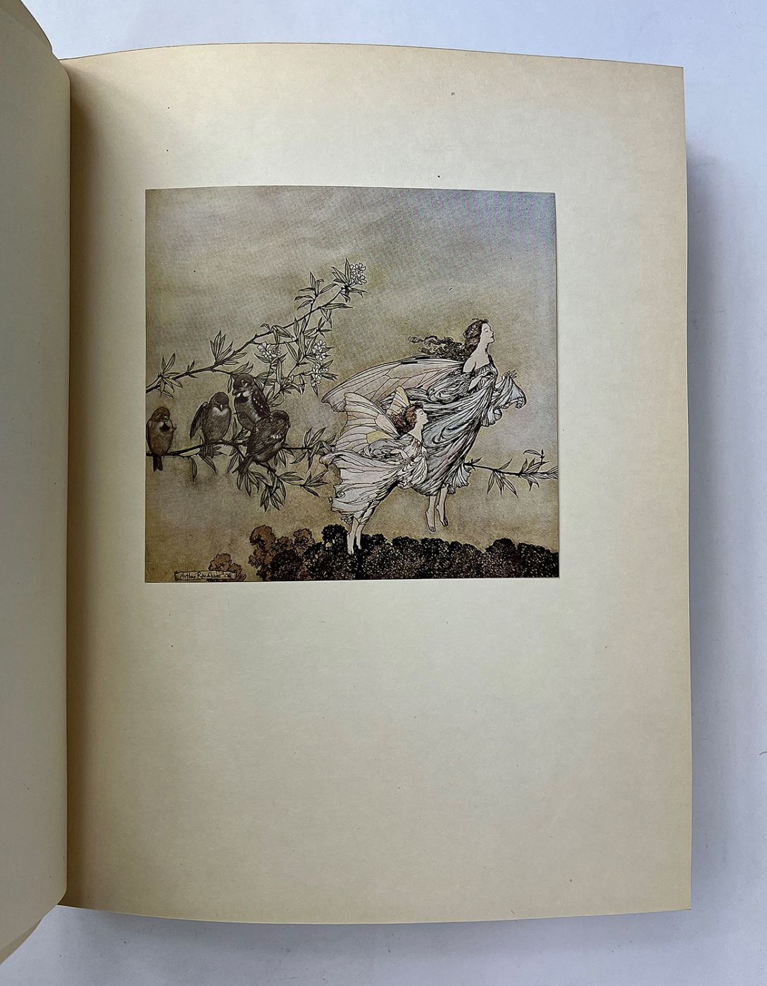 PETER PAN IN KENSINGTON GARDENS -  image 8