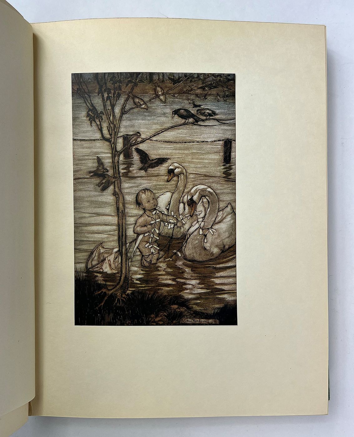 PETER PAN IN KENSINGTON GARDENS -  image 9