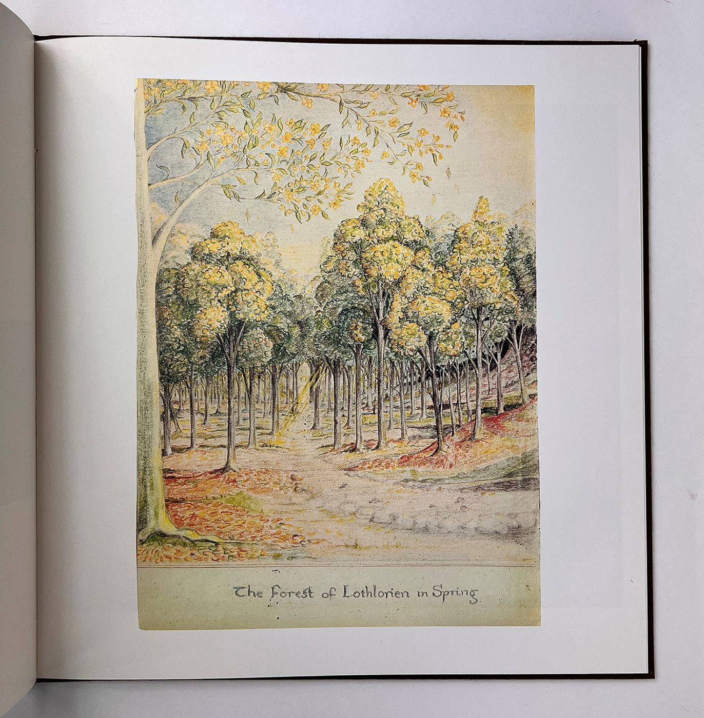 PICTURES BY J. R. R. TOLKIEN -  image 5