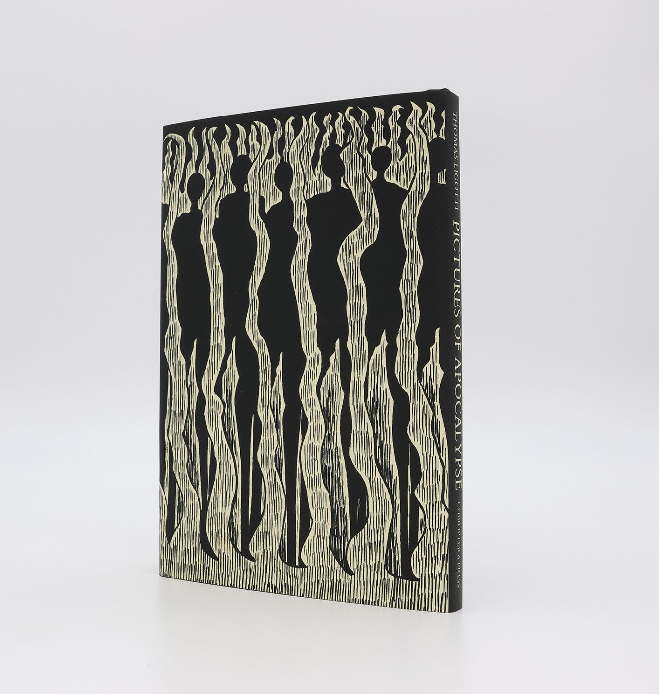 PICTURES OF APOCALYPSE -  image 2