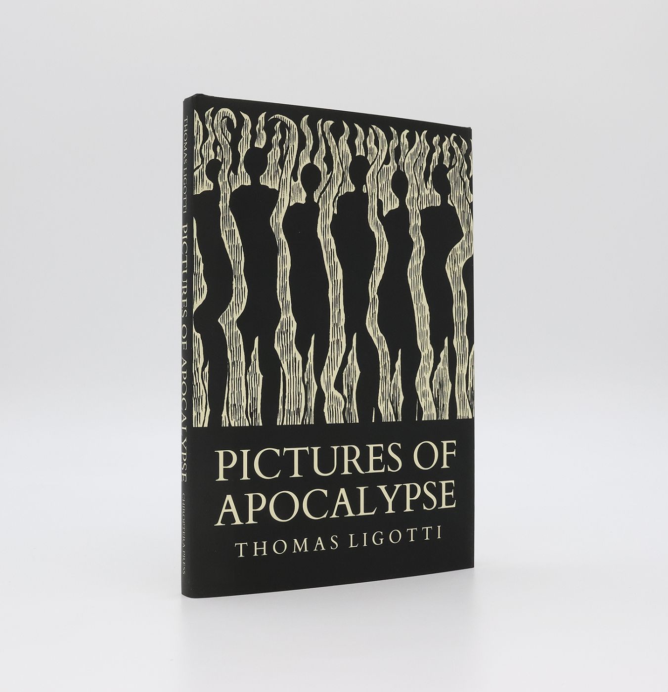 PICTURES OF APOCALYPSE -  image 1