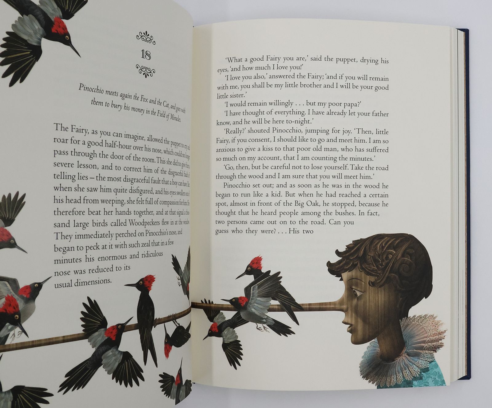 PINOCCHIO: -  image 4
