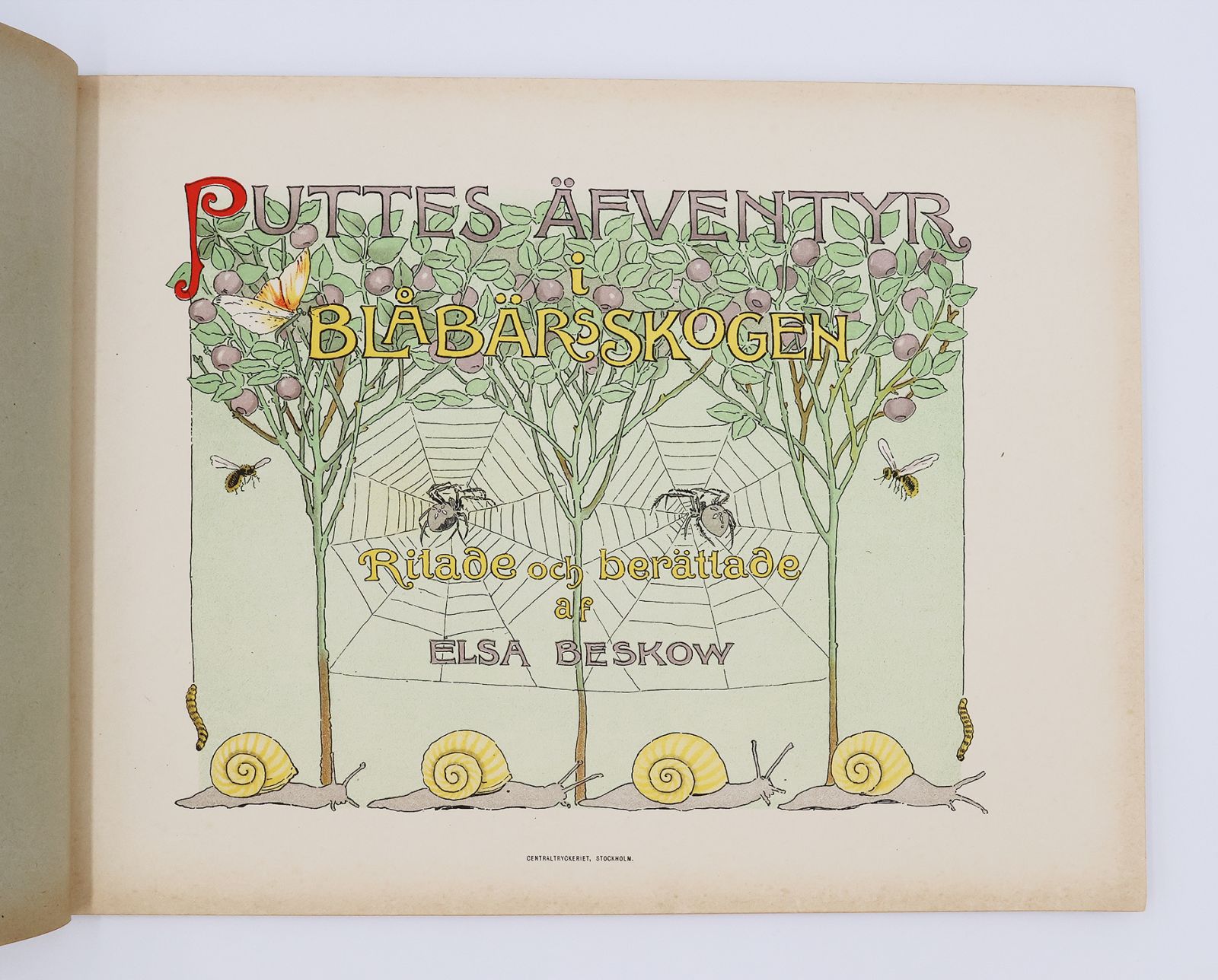 PUTTES FVENTYR I BLBRSSKOGEN [PETER IN BLUEBERRY LAND] -  image 2