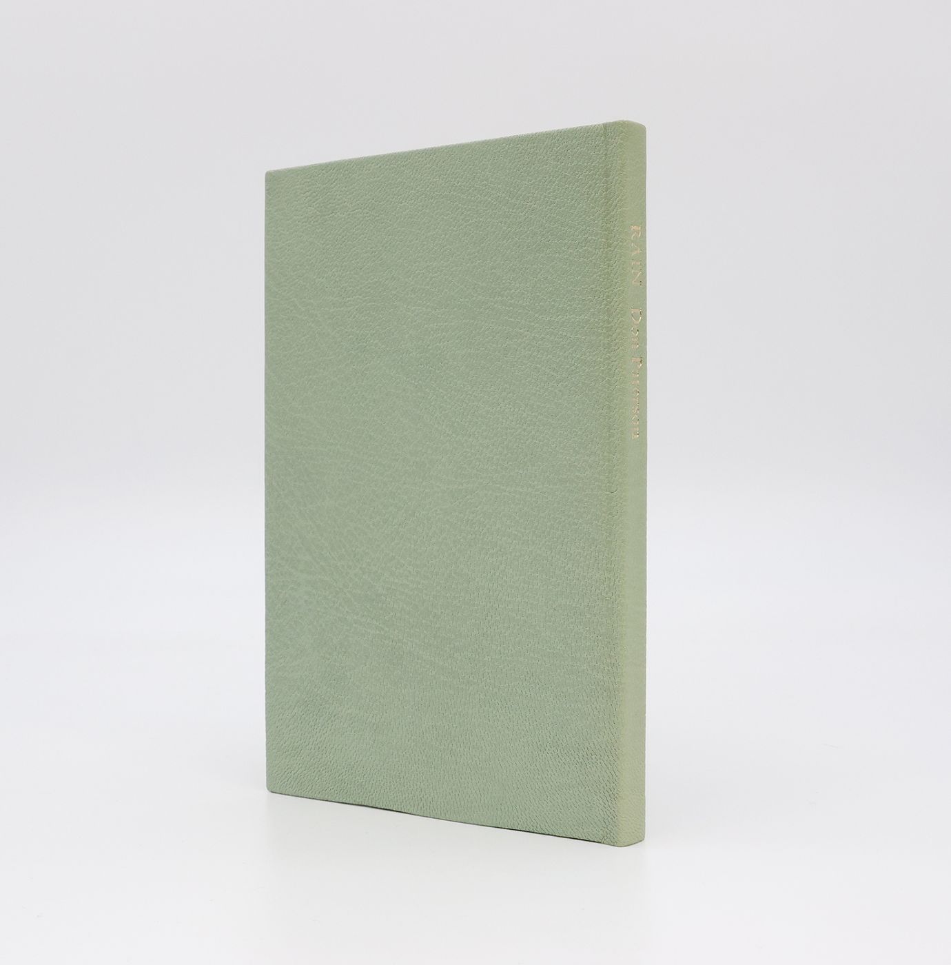 RAIN -  image 2