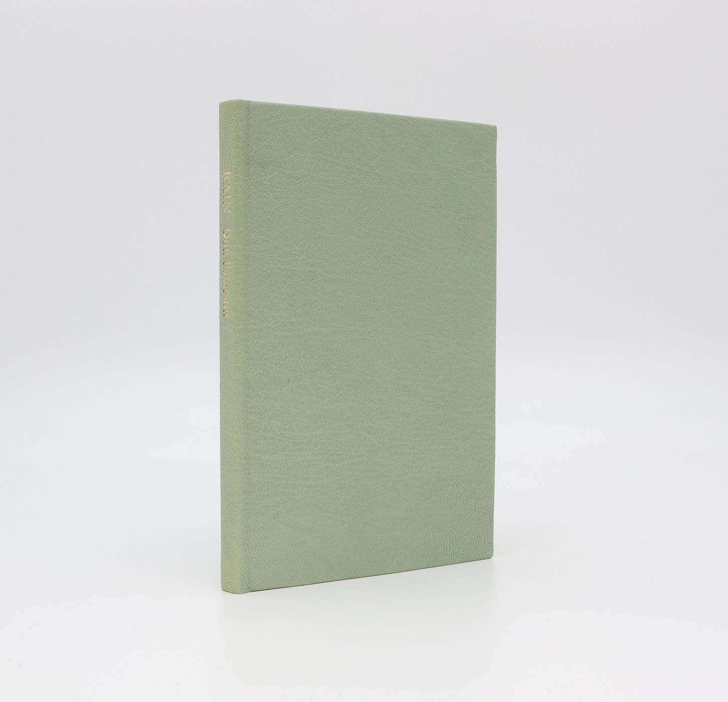 RAIN -  image 1