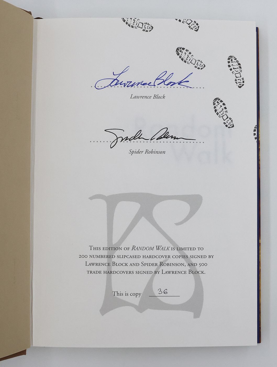 RANDOM WALK -  image 3