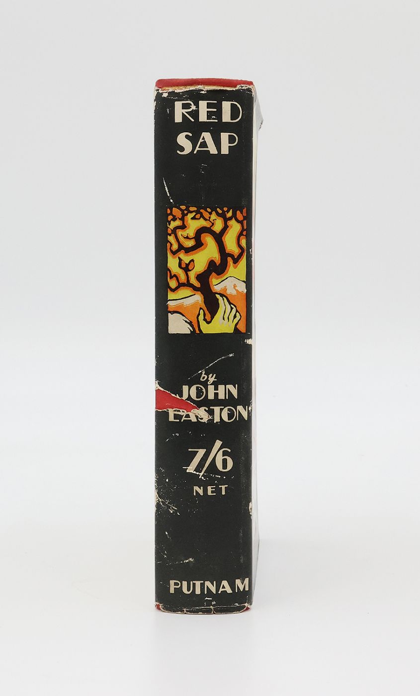 RED SAP -  image 2