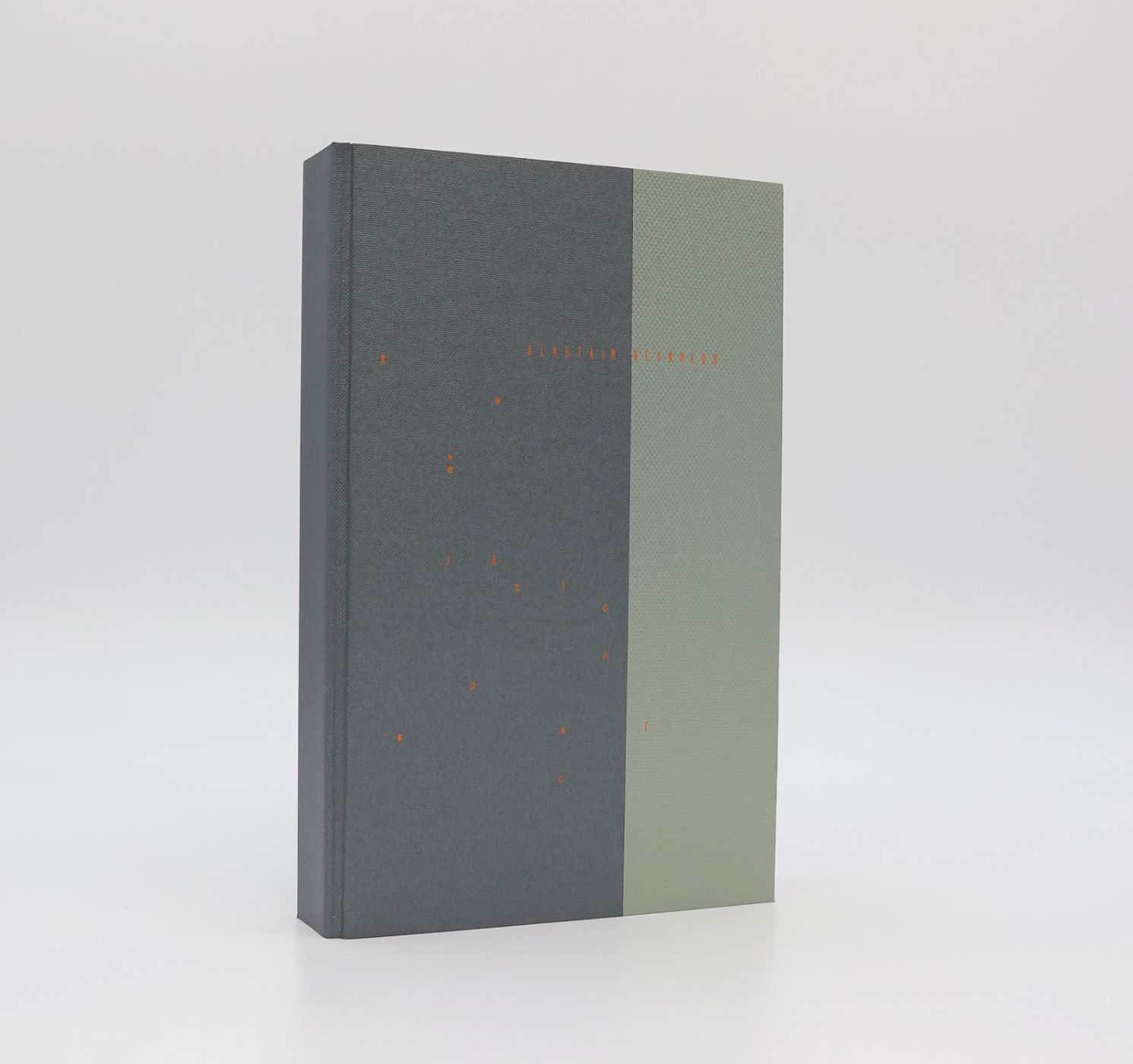 REVELATION SPACE -  image 2