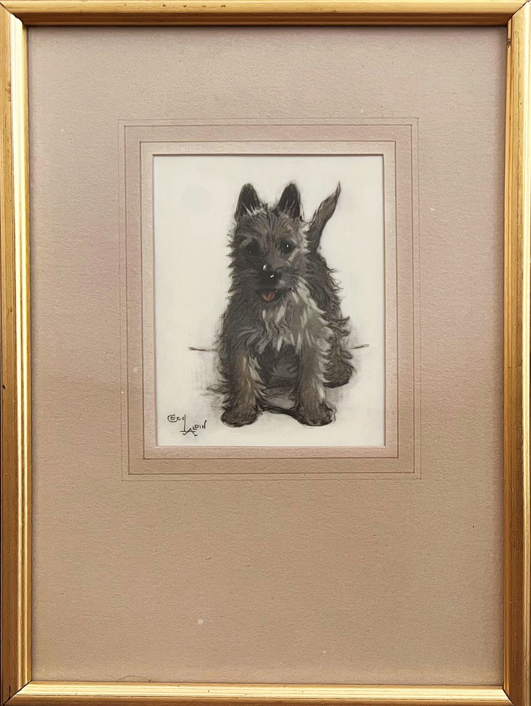 SCOTTIE PUPPY -  image 2