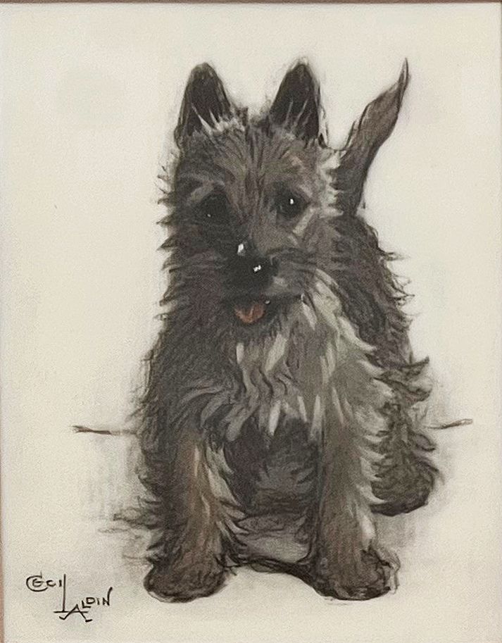 SCOTTIE PUPPY -  image 1