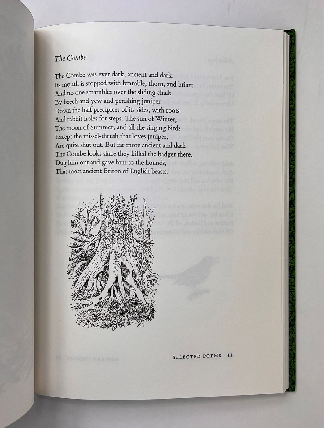 SELECTED POEMS -  image 9