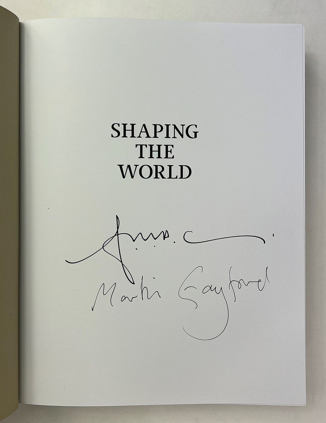 SHAPING THE WORLD: -  image 2