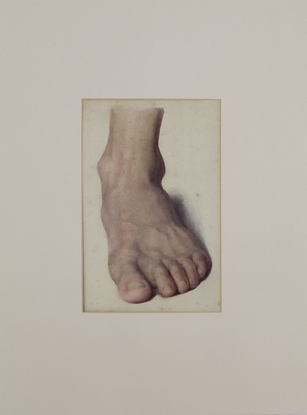 SIX WATERCOLOUR STUDIES OF HANDS AND FEET -  image 3