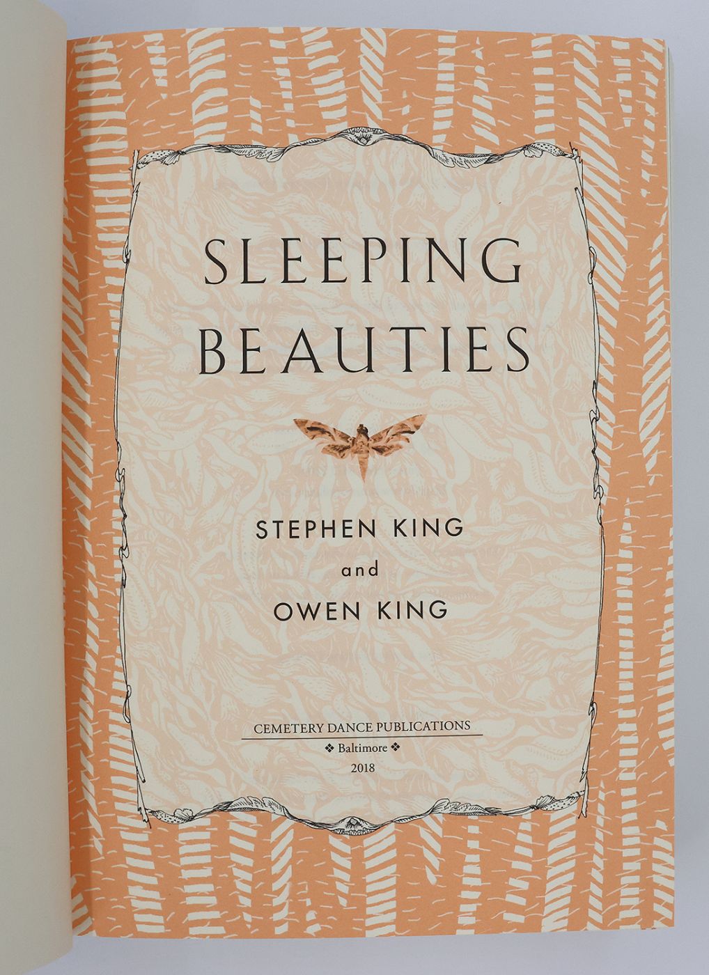 SLEEPING BEAUTIES -  image 6