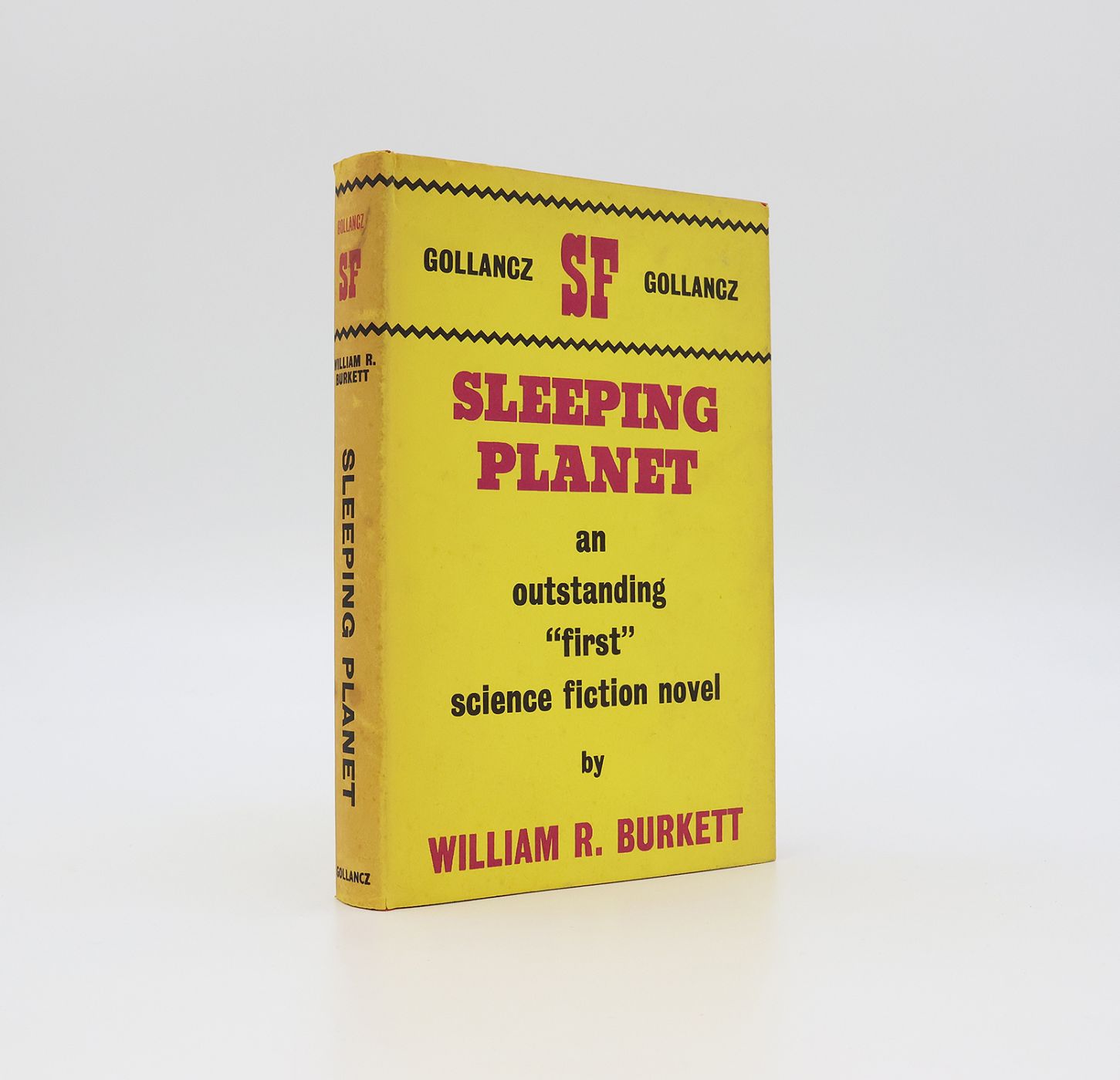 SLEEPING PLANET -  image 1
