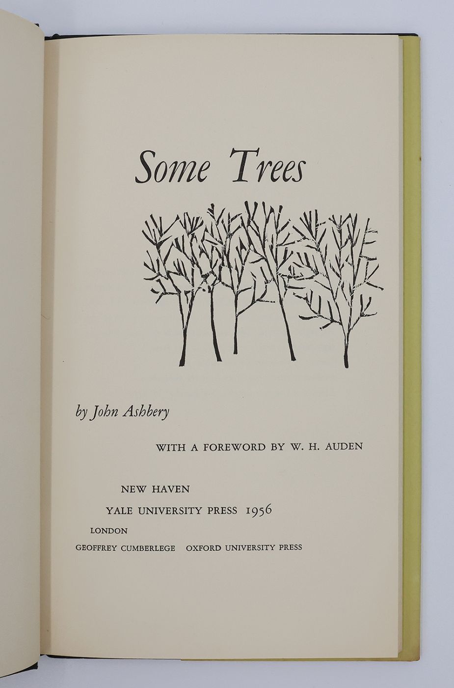SOME TREES -  image 4
