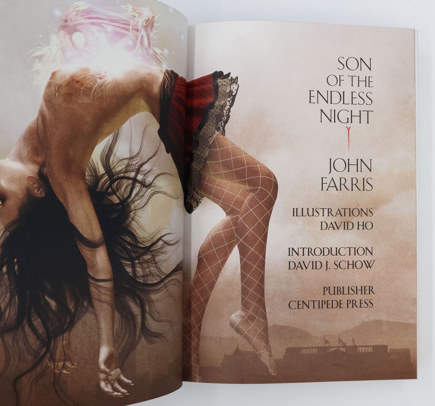 SON OF THE ENDLESS NIGHT -  image 2