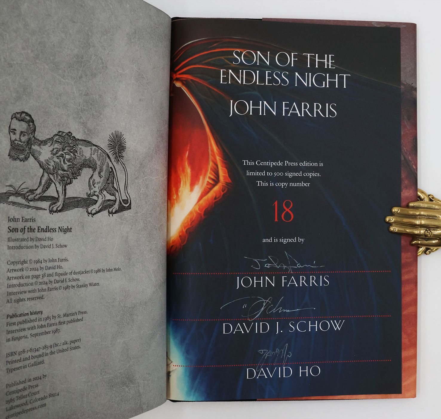 SON OF THE ENDLESS NIGHT -  image 3