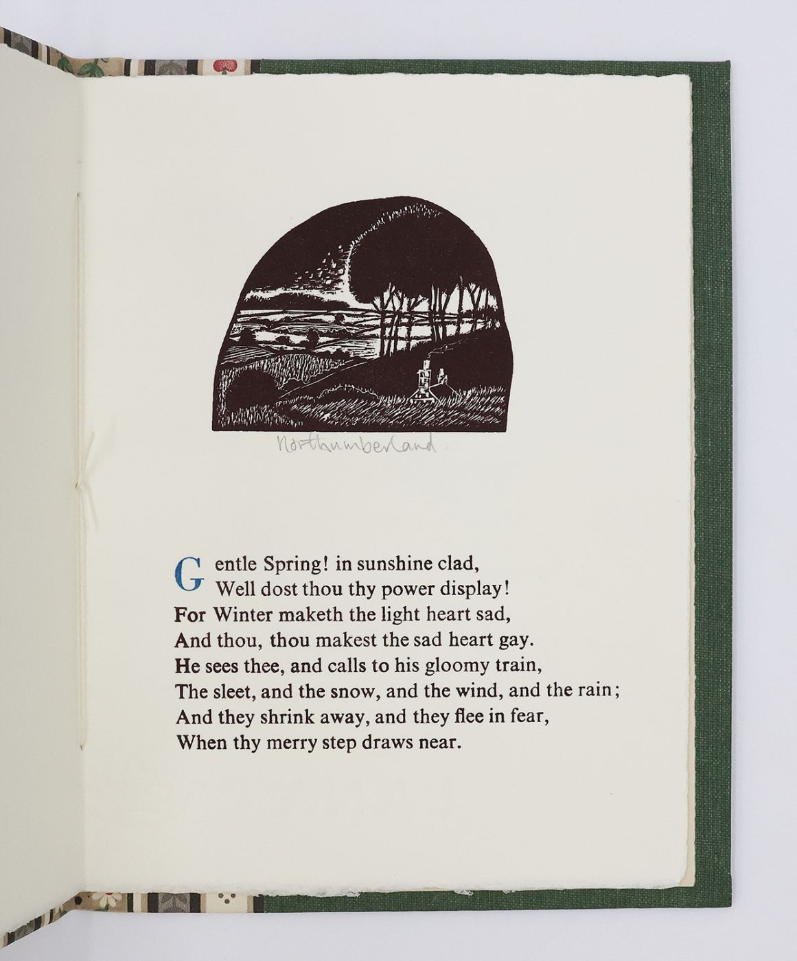 SPRING -  image 4