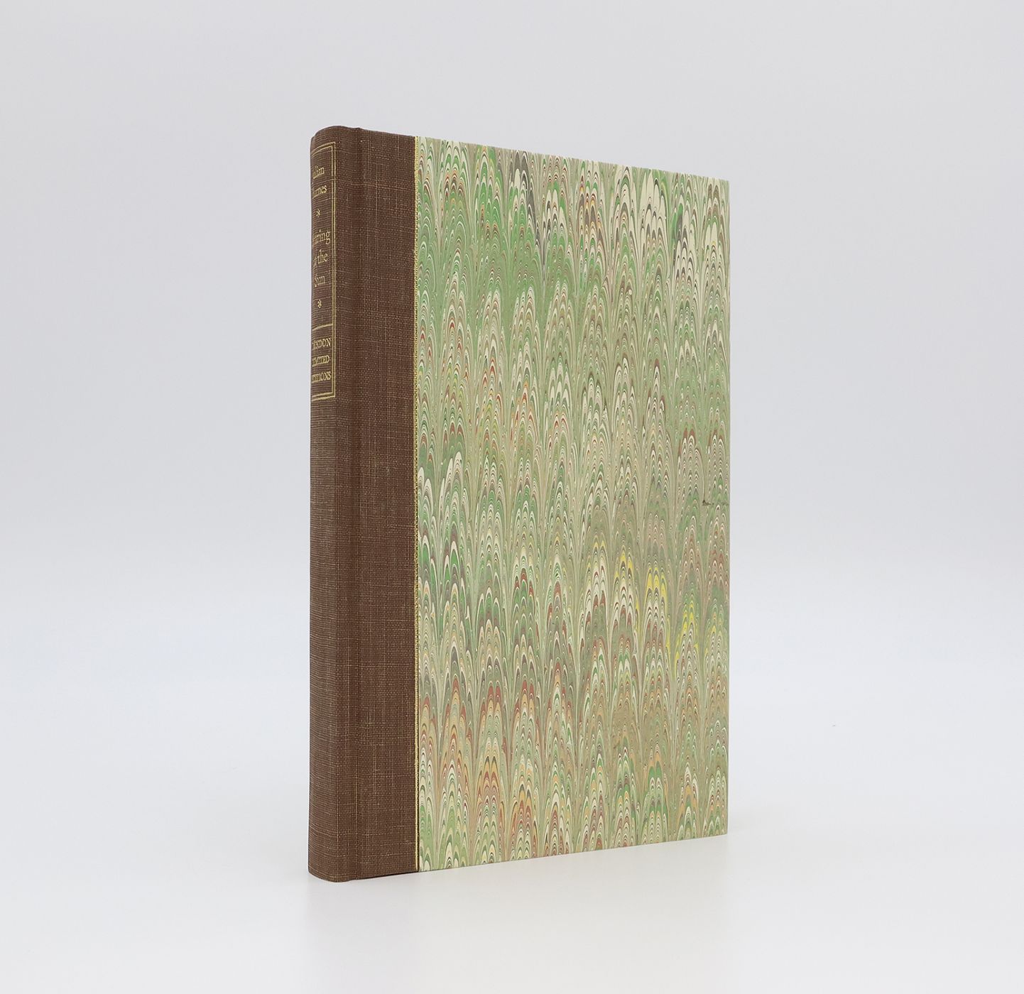 STARING AT THE SUN -  image 1