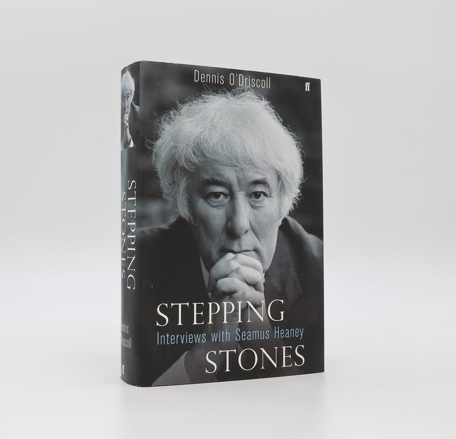 STEPPING STONES: -  image 1