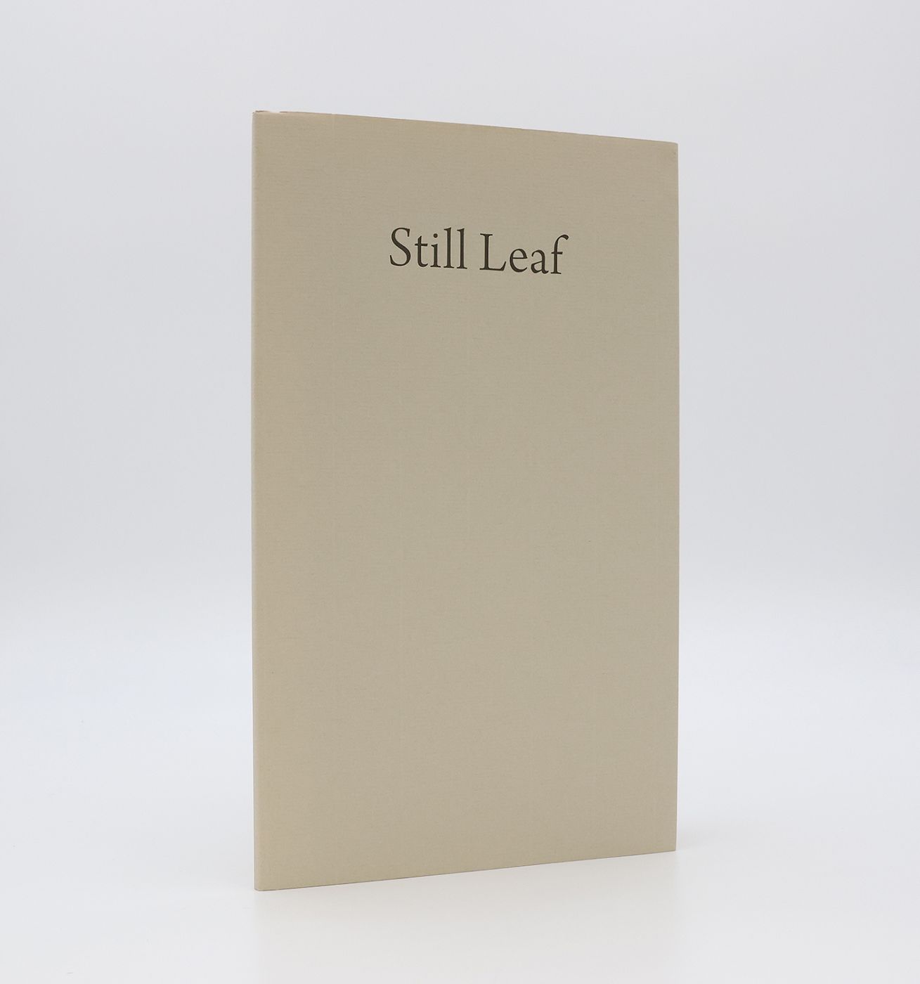 STILL LEAF -  image 1