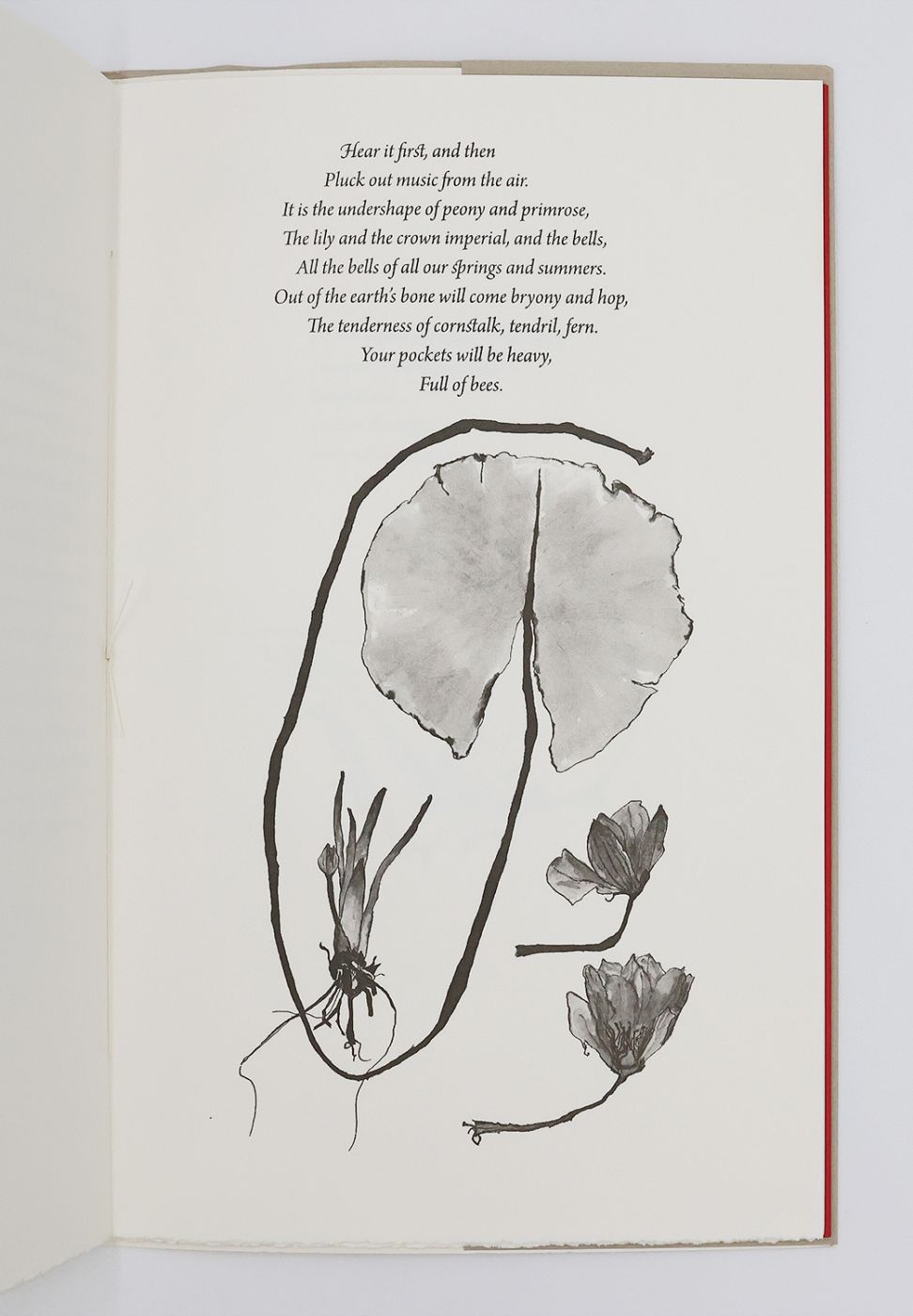 STILL LEAF -  image 4
