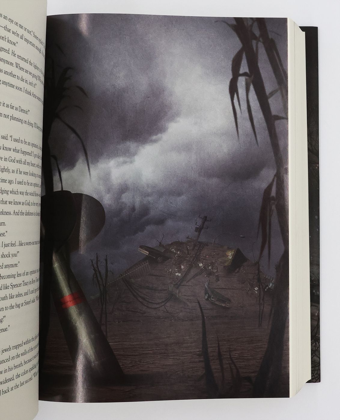 SWAN SONG -  image 5