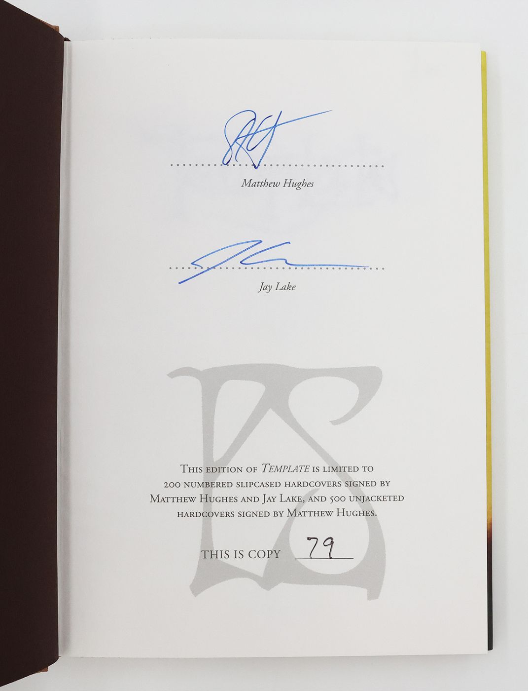 TEMPLATE. -  image 3