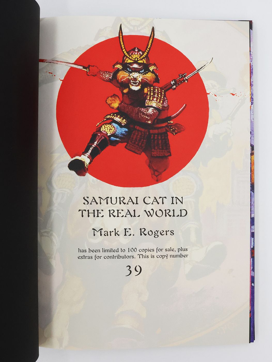 THE ADVENTURES OF SAMURAI CAT: -  image 12