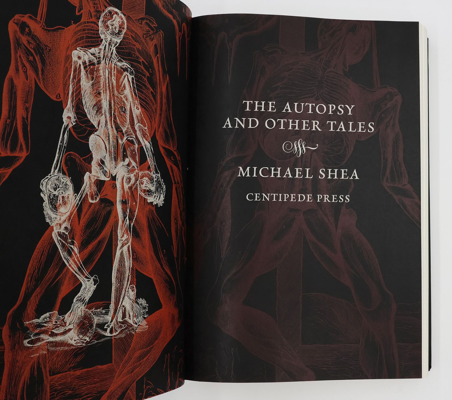 THE AUTOPSY AND OTHER TALES -  image 4
