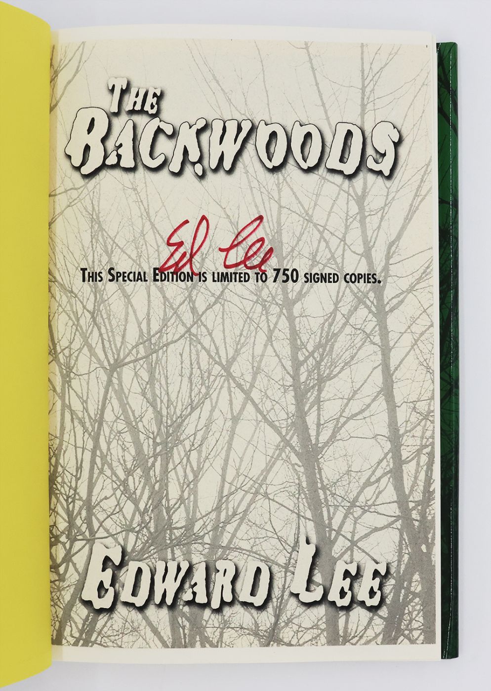 THE BACKWOODS -  image 2