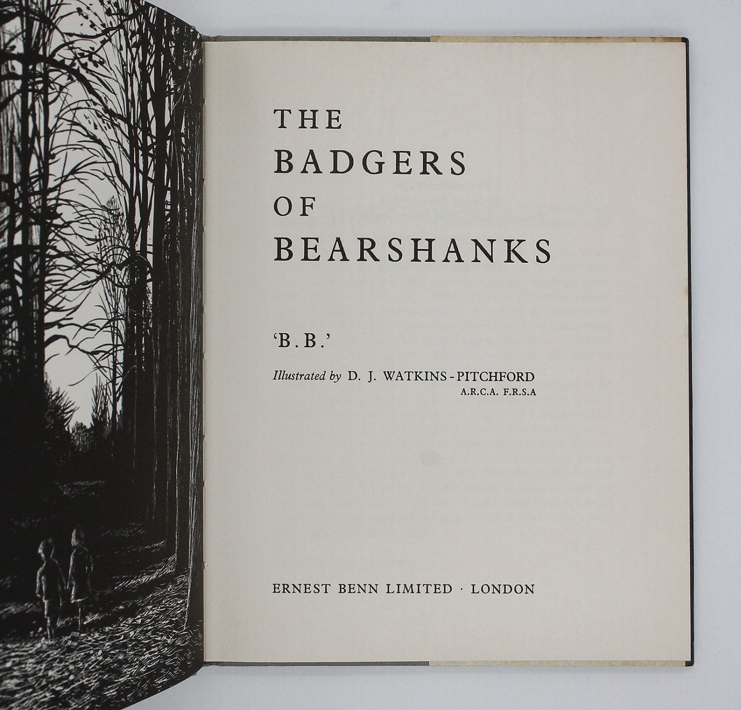 THE BADGERS OF BEARSHANKS -  image 3