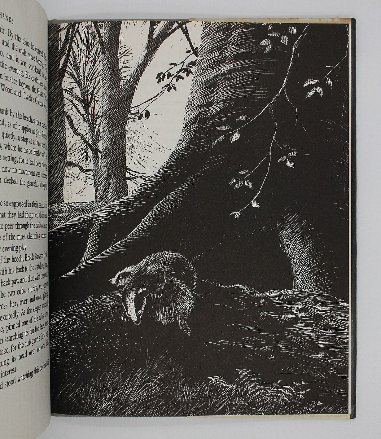 THE BADGERS OF BEARSHANKS -  image 4