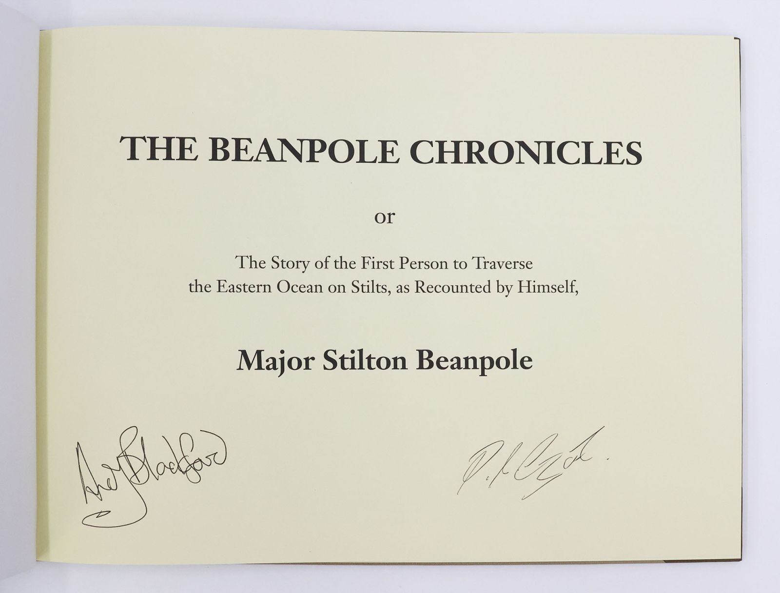 THE BEANPOLE CHRONICLES, -  image 3