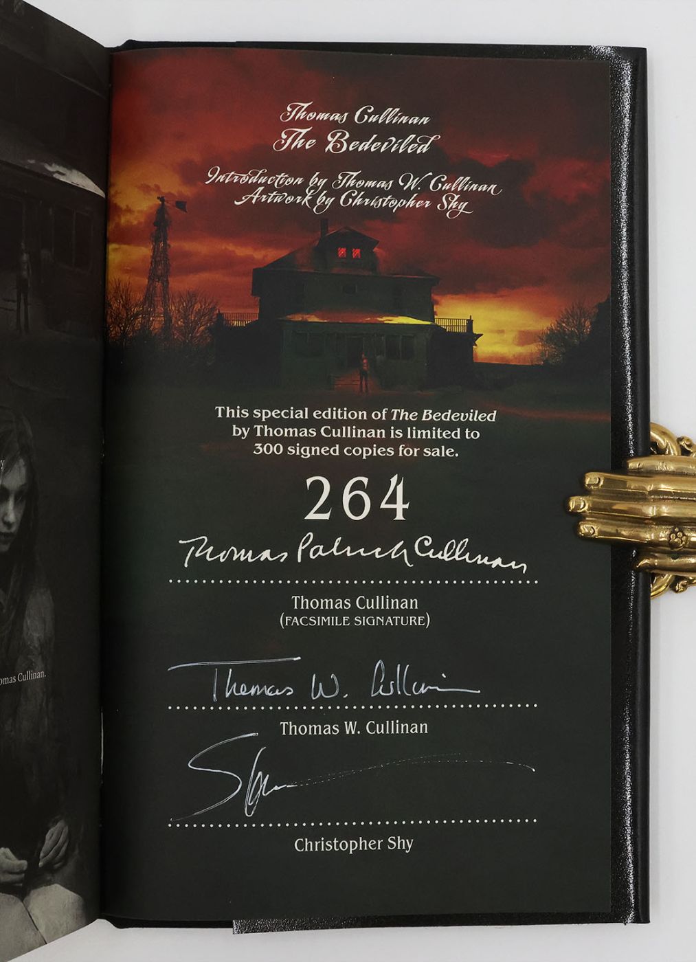 THE BEDEVILED -  image 2