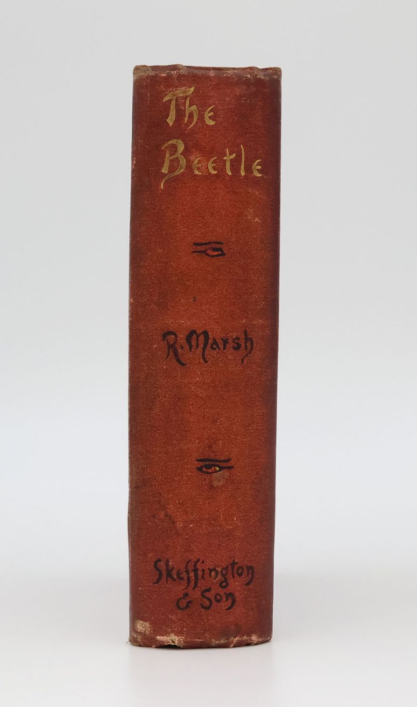 THE BEETLE. -  image 2